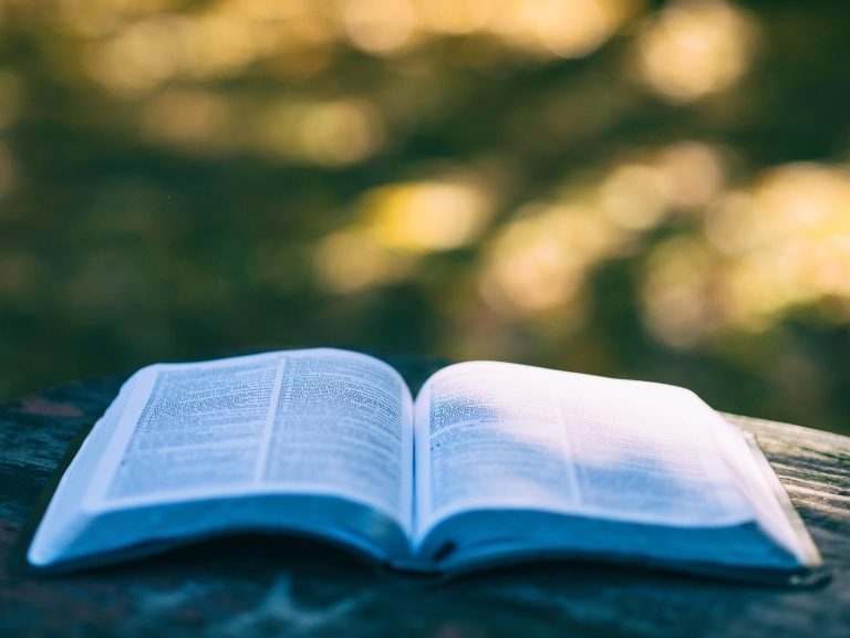 Mengapa Membaca Buku Masih Relevan di Era Digital ?